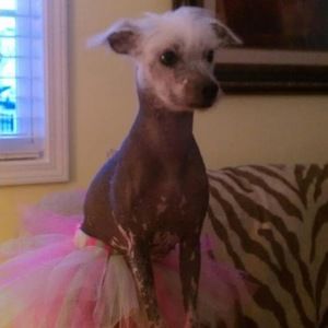 Meet your Posher, Heather